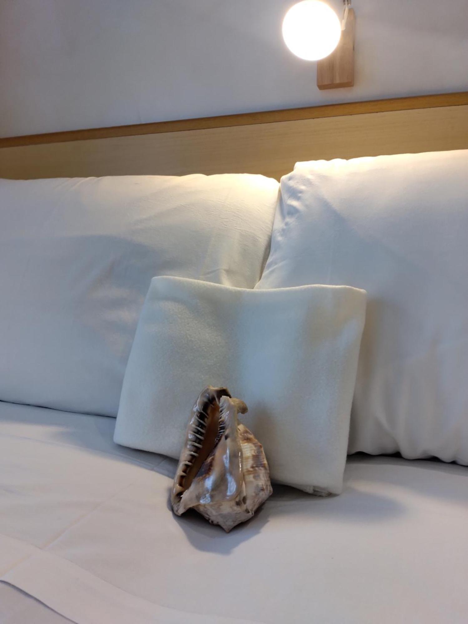Hotel Baviera Sottomarina Esterno foto